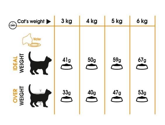 Adult 4kg Hair & Skin Care V236