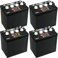 8V Deep-Cycle Flooded Battery P21366