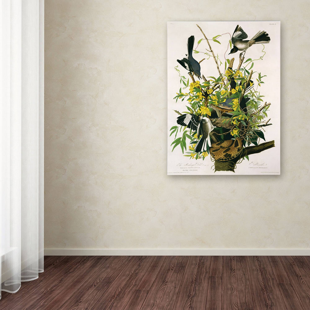 Canvas Art C954