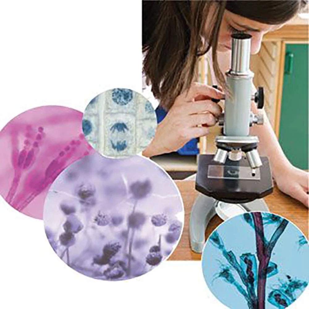 Microscope Slide Set C5902