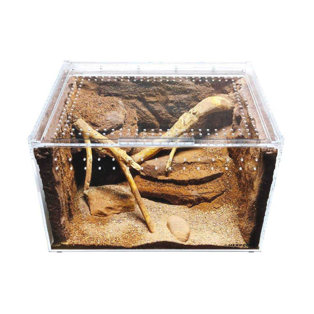 Acrylic Clear-Top Reptile Habitat W21563