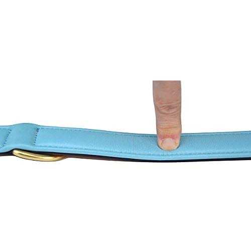 Leather Dog Collar F92328
