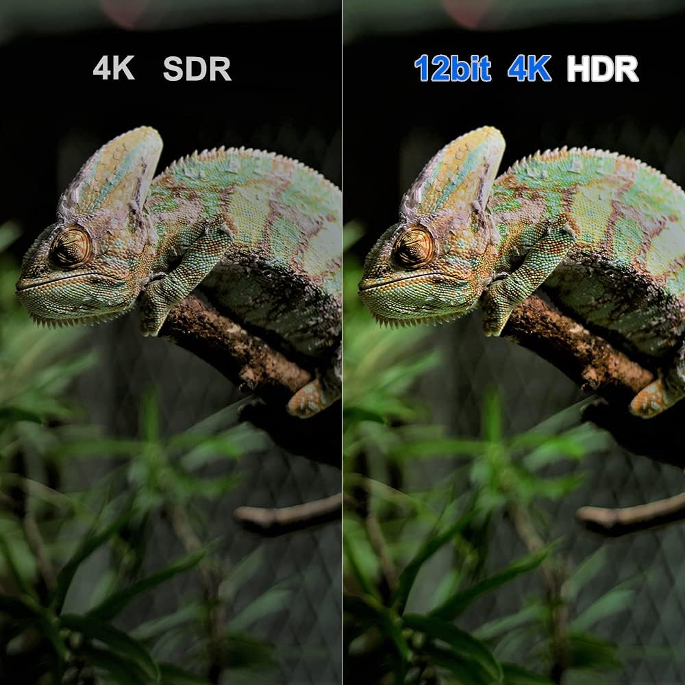 4K Media Player Android TV Box with HDR10+ V11032