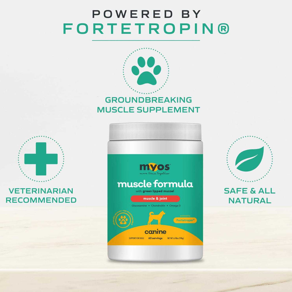 Dog Supplement with Green Lipped Mussel Powder G769122