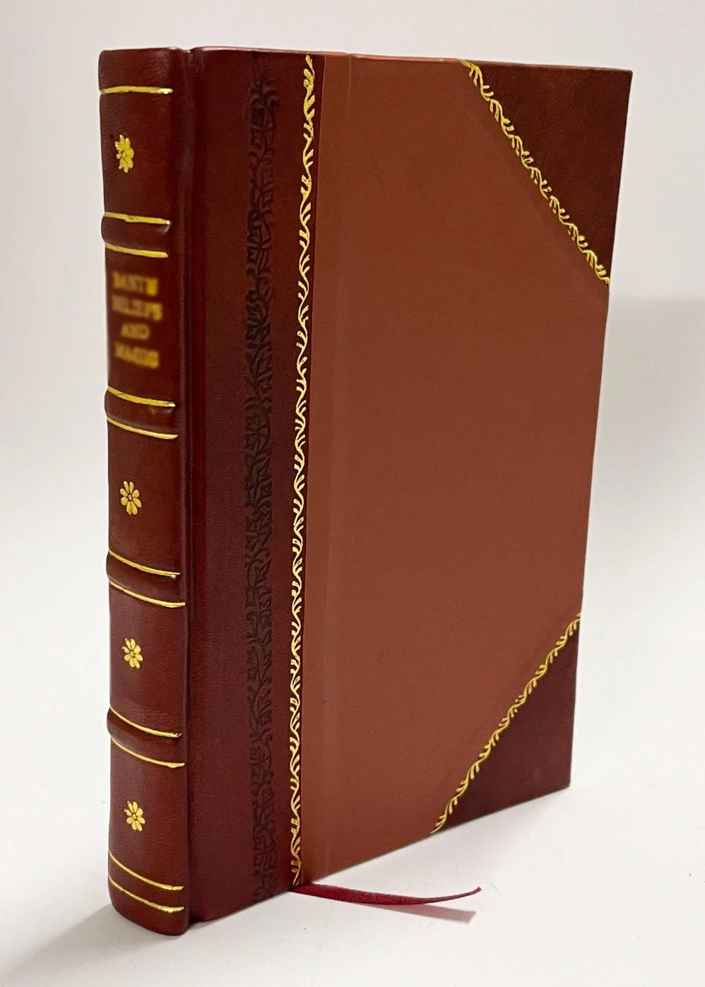 Satire Leather Bound Q75959