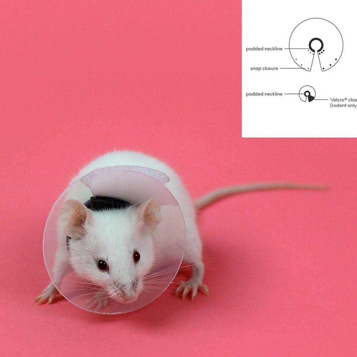 Collar Rodents Pet Supplies H807