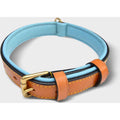 Leather Dog Collar F92328