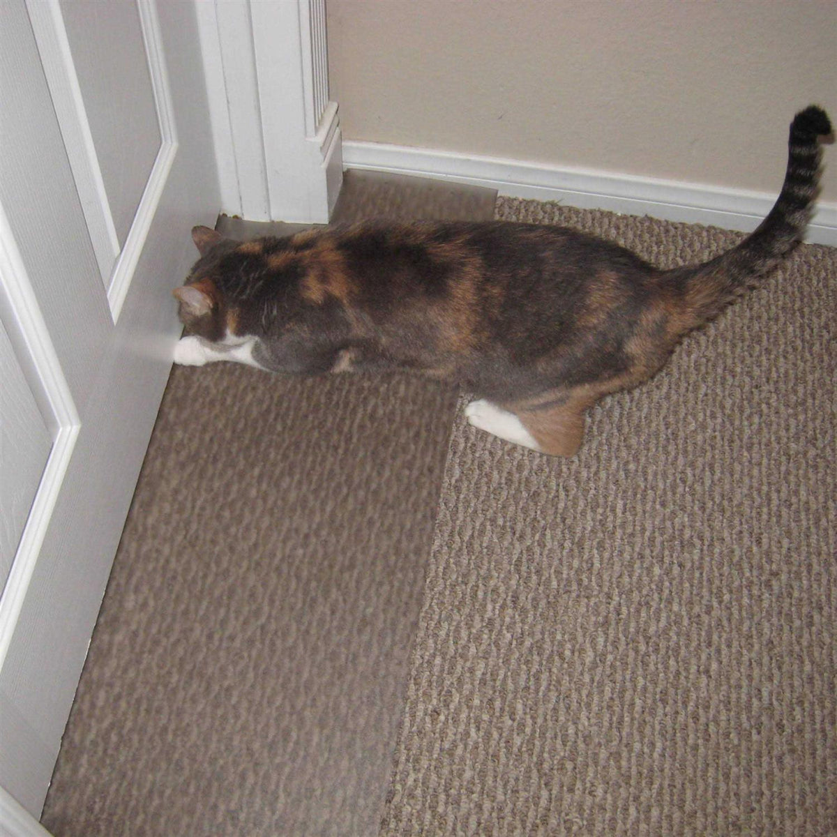 Carpet Scratch Stopper L988136