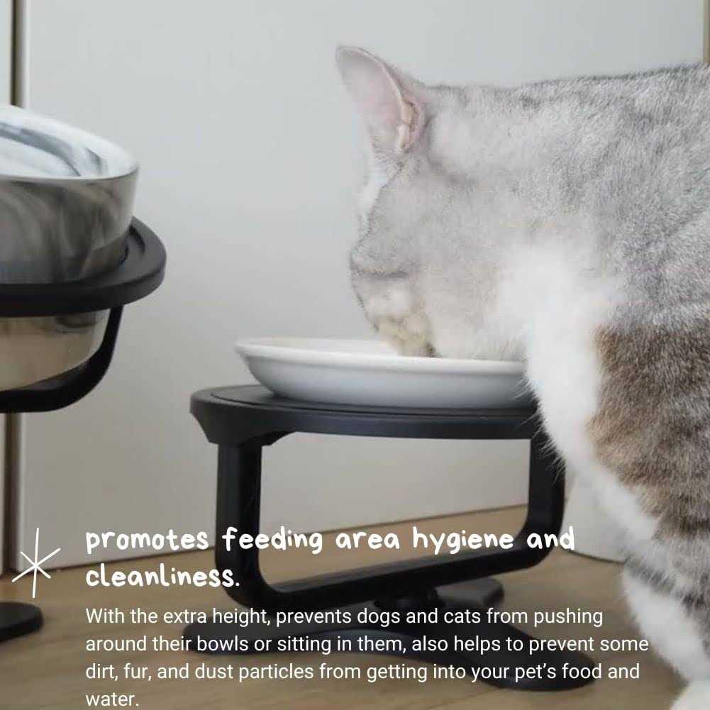 Adjustable Raised Cat Food Bowl P855