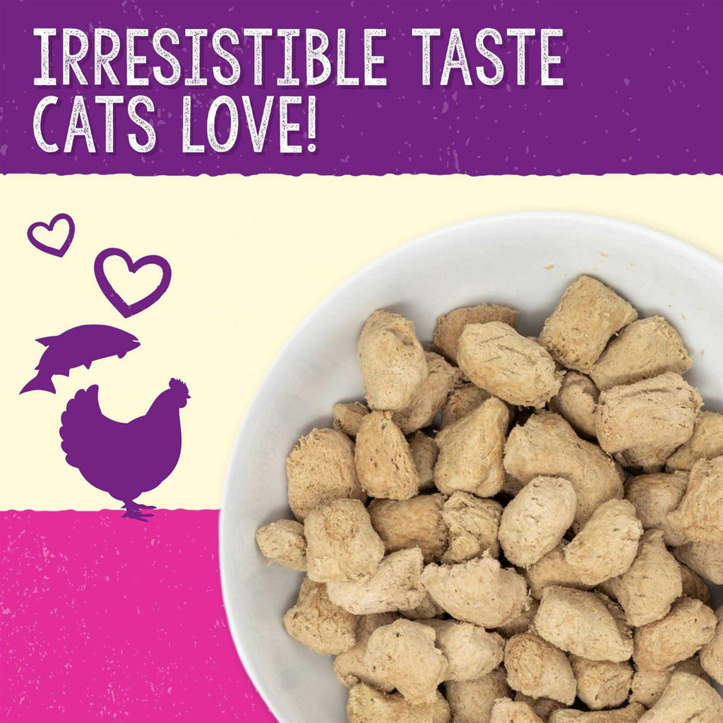 Freeze-Dried Salmon Chicken Cat Food C864