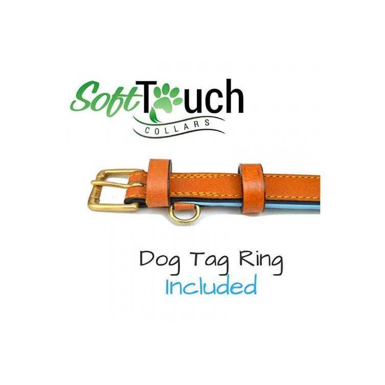 Leather Dog Collar F92328