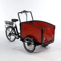 Electric Cargo Bike Y723568