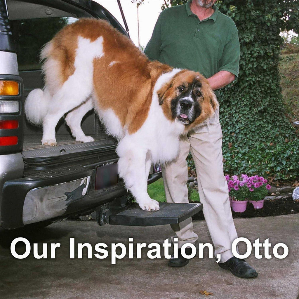 Car Pet Ramp Pet Step N8410